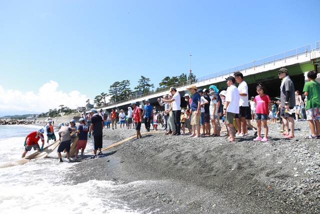 湘南地引網  市五郎丸【二宮町】
